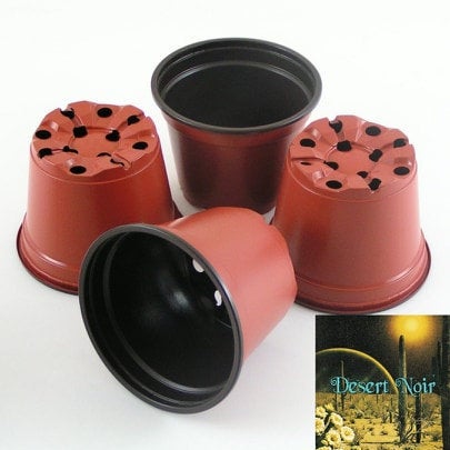 plants to grow in 4 inch pots Plastic Grow Pots , 4 inch pot, 6 inch pot, cactus, succulent, plant, – Desert Noir