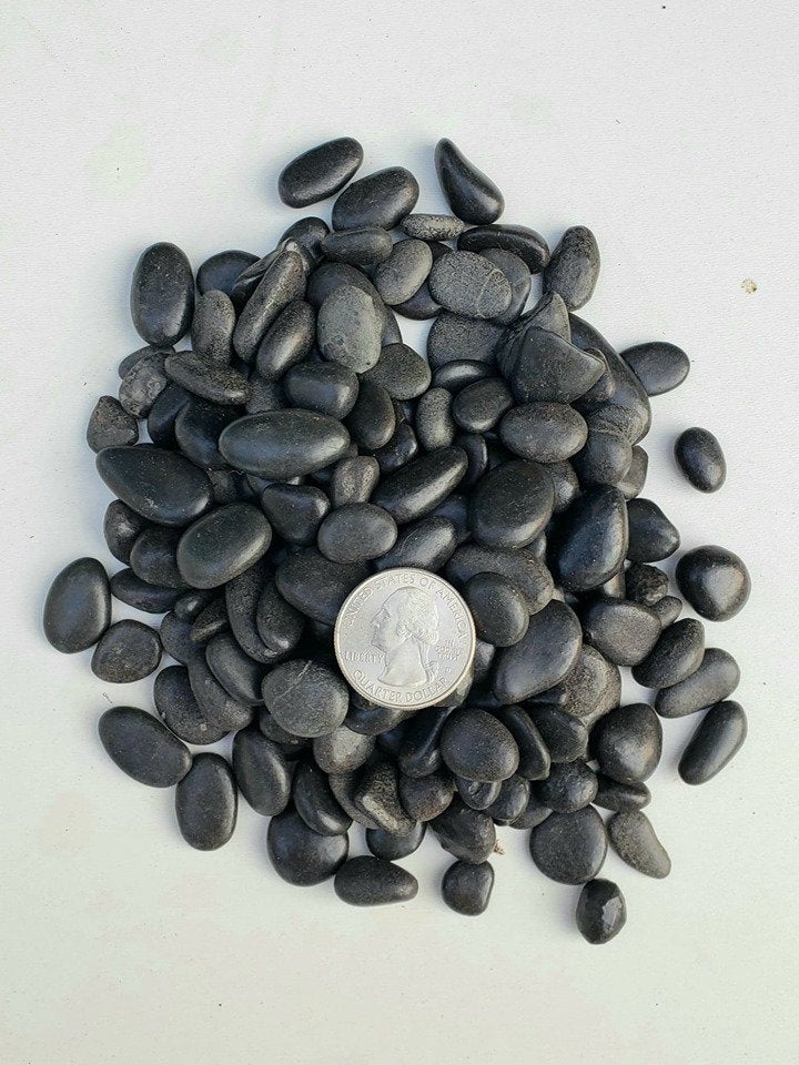 top dressing rocks for succulents Larger Top Dressing Rock, Black/ White/ Natural, cactus, succulent, ga – Desert Noir