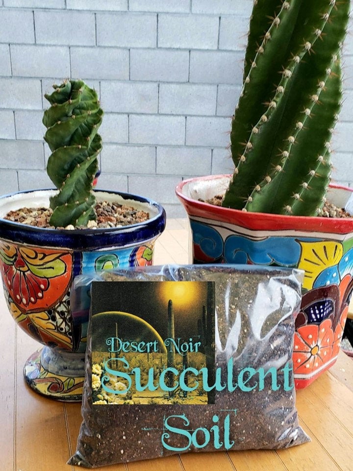 Desert Noir Succulent Soil, Premium Potting Soil Mix, Well Draining Succulent Soil, Grow Indoor Plants, Cactus dirt