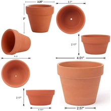 Load image into Gallery viewer, Hand Painted Terra Cotta planter pots, Succulents, Cactus, Gardening, various sizes, Terra cotta, Planter pots, gardening
