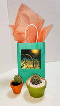 Load image into Gallery viewer, Gift Packages Purity Preferred
