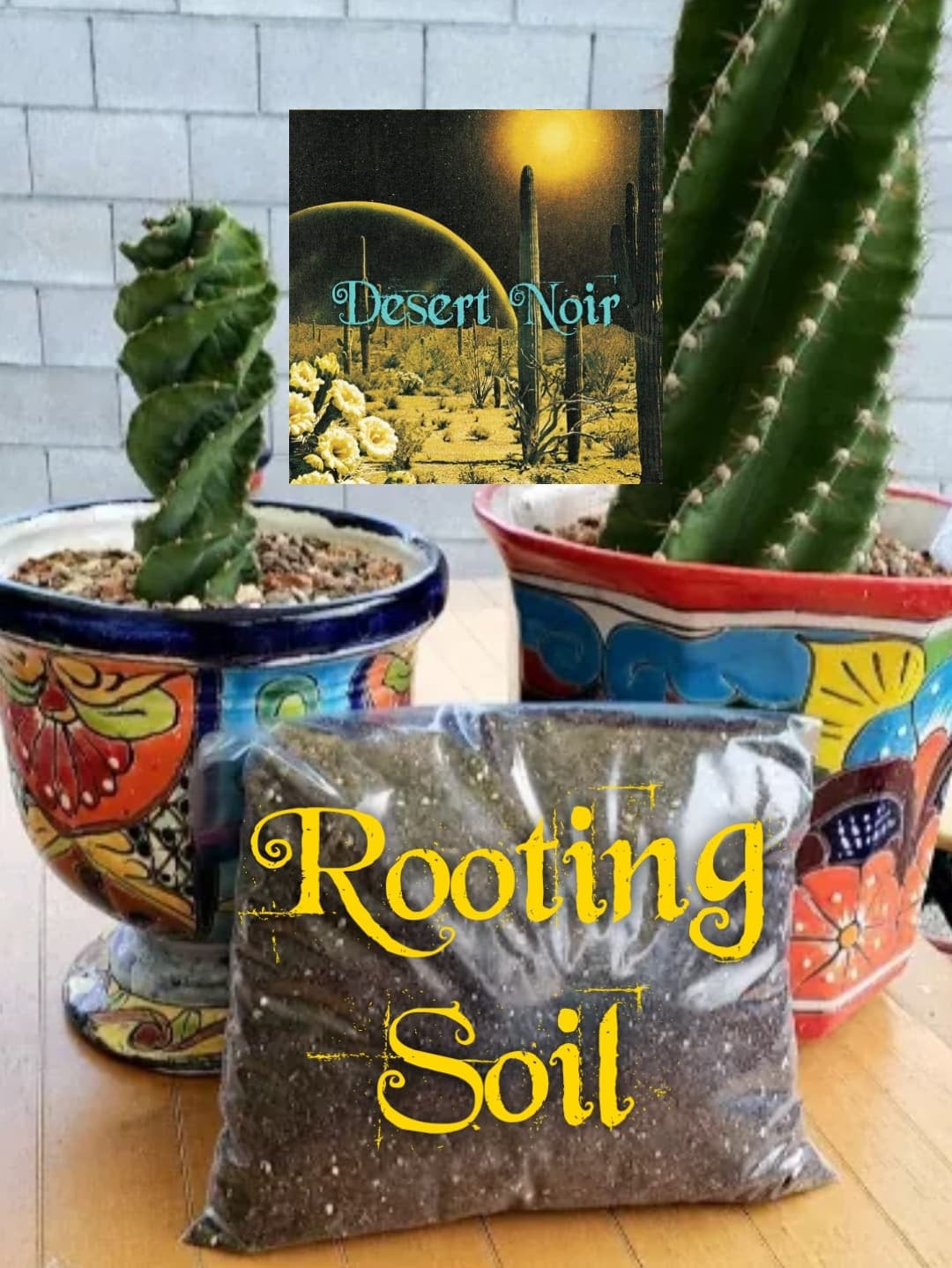 soil for cactus and succulents Rooting Soil, Desert Noir, proprietary blend, cactus, propagation, suc
